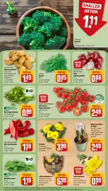 REWE City Prospekt woche 5 Seite 5