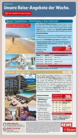 REWE PETZ Prospekt woche 5 Seite 30