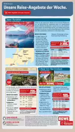 REWE PETZ Prospekt woche 5 Seite 31