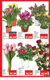 Catalog Kaufland săptămâna 5 Pagină 9