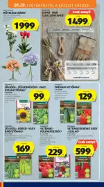 ALDI akciós újság hét 5 Oldal 24