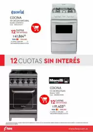 Revista Fava Página 24