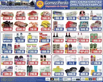 Catálogo Gomez Pardo semana 4 Página 1