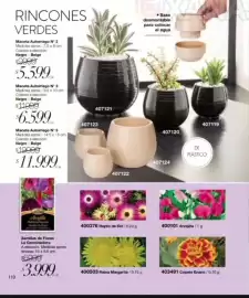 Catálogo Violetta Fabiani Página 110