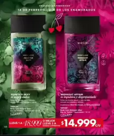 Catálogo Violetta Fabiani Página 120