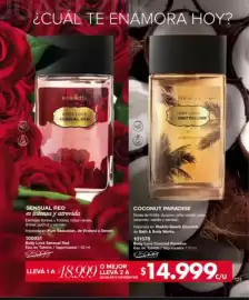 Catálogo Violetta Fabiani Página 121