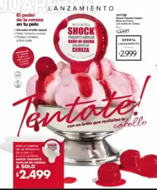 Catálogo Violetta Fabiani Página 13