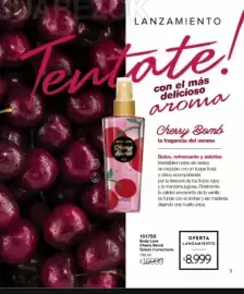 Catálogo Violetta Fabiani Página 3