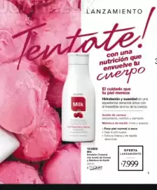 Catálogo Violetta Fabiani Página 5