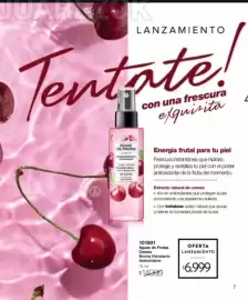 Catálogo Violetta Fabiani Página 7