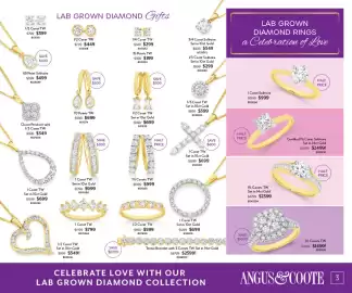 Angus & Coote catalogue Page 3