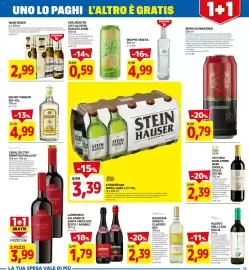 Volantino DPiù Pagina 13