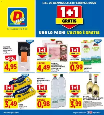 Volantino DPiù (valido fino al 8-02)