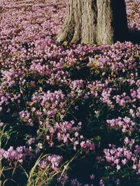 Folleto Dior semana 5 Página 4