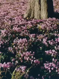 Folleto Dior semana 5 Página 4