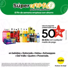 Catálogo Éxito Página 3