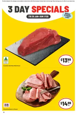 IGA catalogue