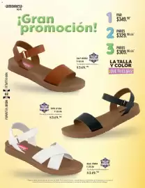 Catálogo Andrea Página 62