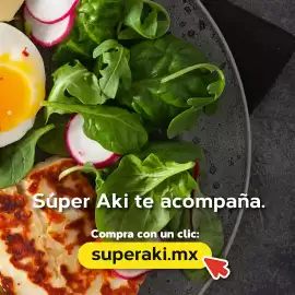 Catálogo Super Aki Página 3