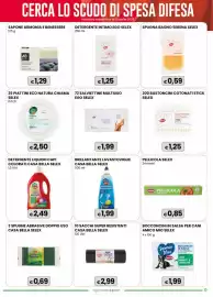 Volantino Gala Supermercati Pagina 13