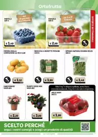 Volantino Gala Supermercati Pagina 7