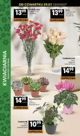 Delikatesy Centrum gazetka tydzień 5 Strona 38