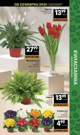 Delikatesy Centrum gazetka tydzień 5 Strona 39