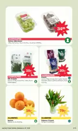 Östenssons reklamblad vecka 5 Sida 5