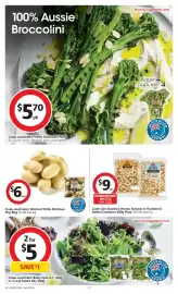 Coles catalogue week 5 Page 17