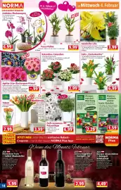 Norma Prospekt woche 6 Seite 14