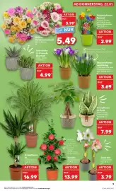 Kaufland Prospekt Seite 9