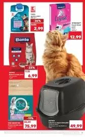 Catalog Kaufland săptămâna 5 Pagină 55