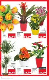 Catalog Kaufland săptămâna 5 Pagină 8