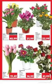 Catalog Kaufland săptămâna 5 Pagină 9