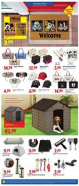 Lidl weekly ad week 5 Page 4