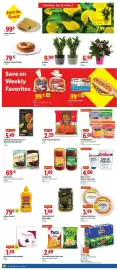 Lidl weekly ad week 5 Page 2