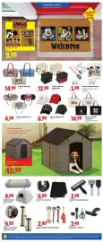Lidl weekly ad week 5 Page 4