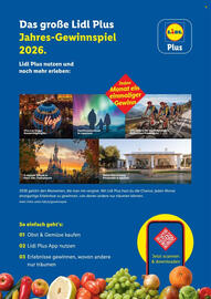 Lidl Flugblatt Seite 2