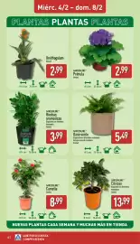 Folleto ALDI semana 6 Página 12