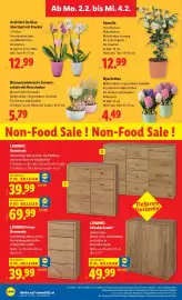 Lidl Flugblatt woche 5 Seite 30