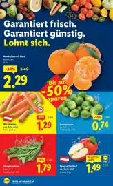 Lidl Flugblatt woche 5 Seite 38