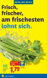 Lidl Flugblatt woche 5 Seite 4