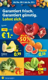 Lidl Flugblatt woche 5 Seite 6