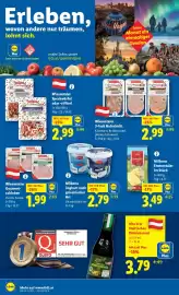 Lidl Flugblatt woche 4 Seite 14