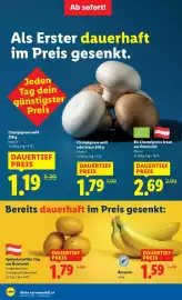 Lidl Flugblatt woche 4 Seite 2