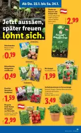 Lidl Flugblatt woche 4 Seite 29