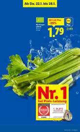 Lidl Flugblatt woche 4 Seite 4