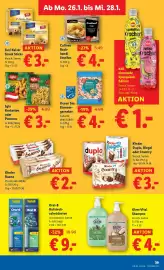 Lidl Flugblatt woche 4 Seite 45