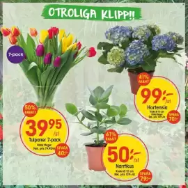 EKO reklamblad Sida 1