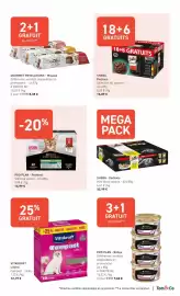 Catalogue Tom&Co page 7